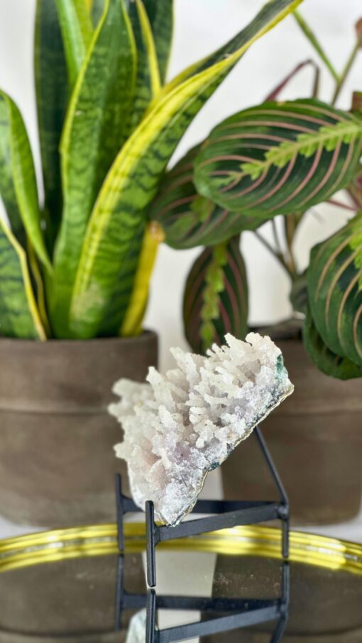 Flor de Amatista Blanca en Zeolita 2.1