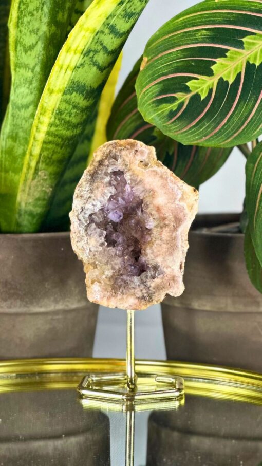 geoda Amatista Rosa 11