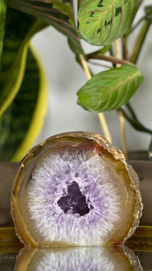 geoda de amatista 2