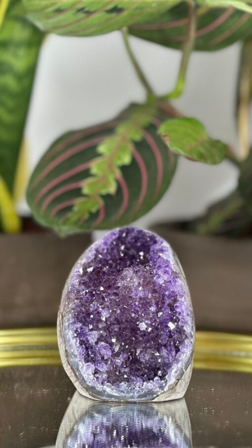Drusa de amatista violeta
