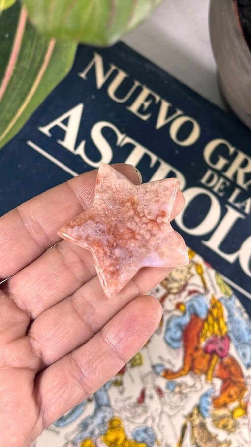 Estrella de Ágata Flor 11
