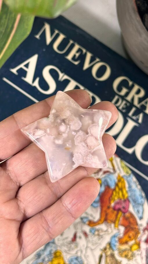 Estrella de Ágata Flor 6