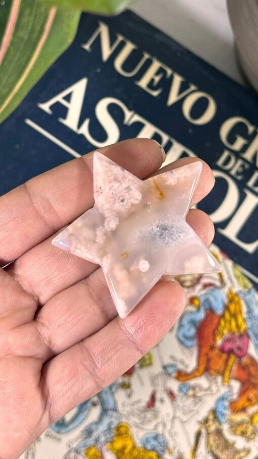 Estrella de Ágata Flor 8