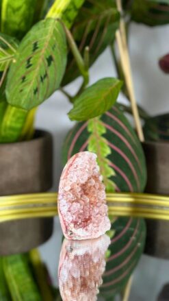 Geoda de Amatista Rosa Natural 14.2