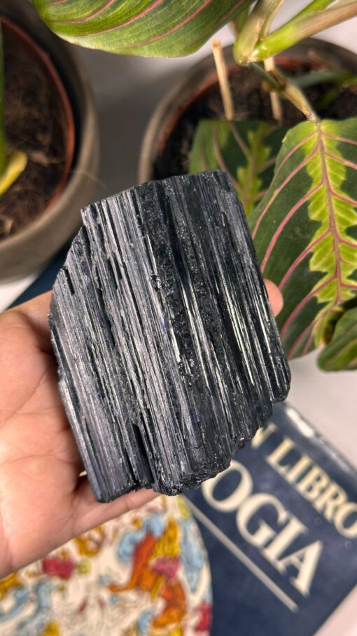 Masivo grande de Turmalina Negra 1