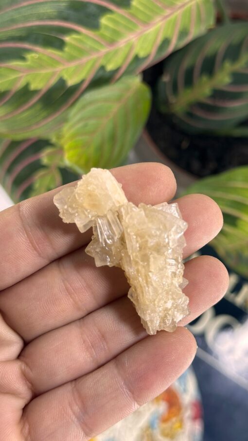 Mini Calcita Amarilla 1