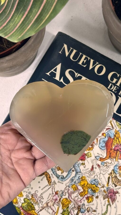 Corazón Ágata Dendrítica Verde 2