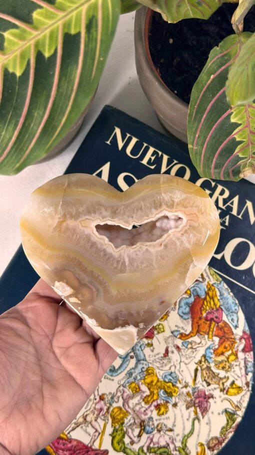 Geoda de Ágata Beige en Corazón - Imagen 2