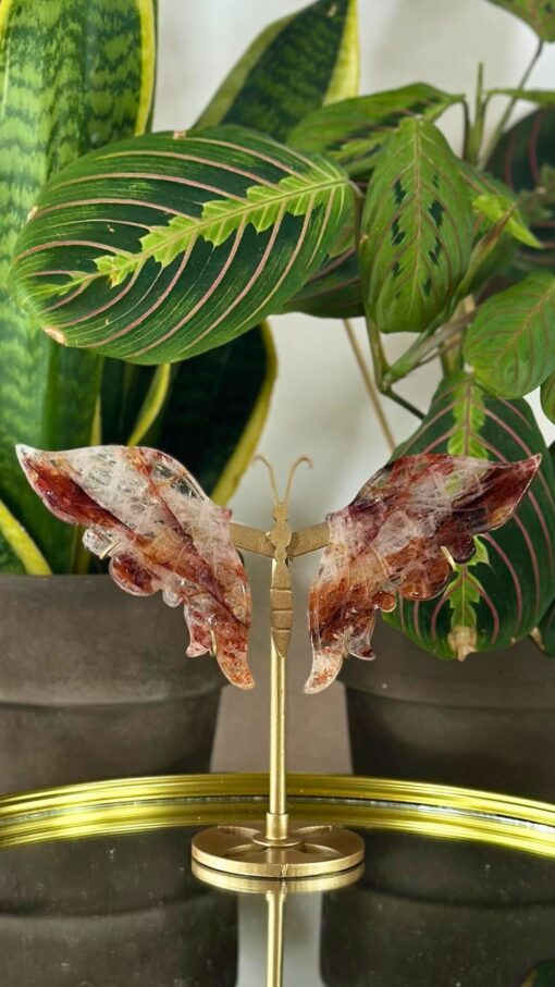 Mariposa Cuarzo de Fuego 2