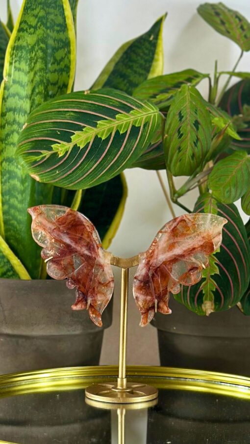 Mariposa Cuarzo de Fuego 3
