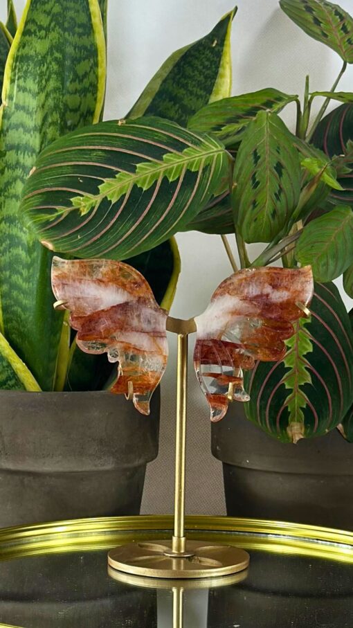 Mariposa Cuarzo de Fuego 4