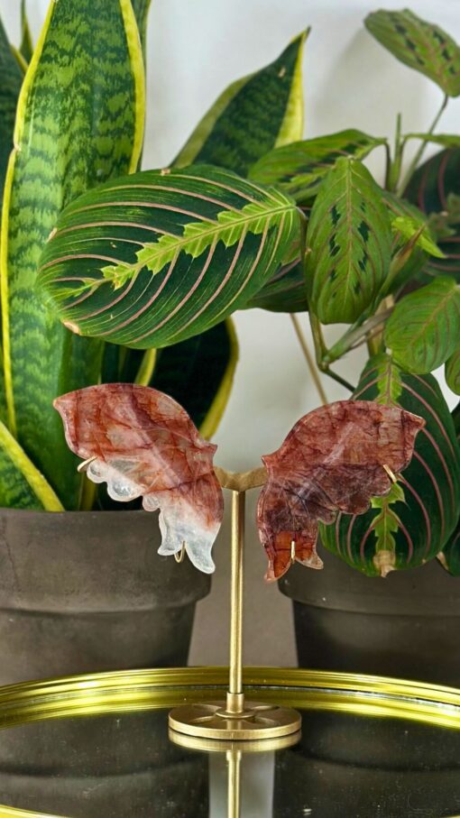 Mariposa Cuarzo de Fuego 5