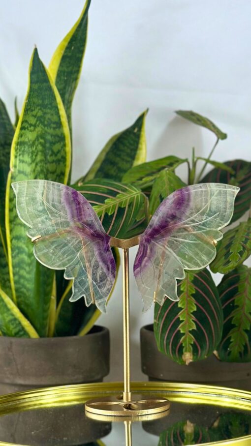 Mariposa Grande de Flourita