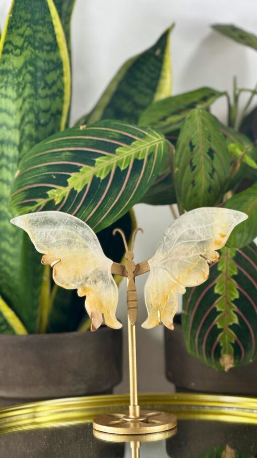 Mariposas Cuarzo Sanador Dorado 1