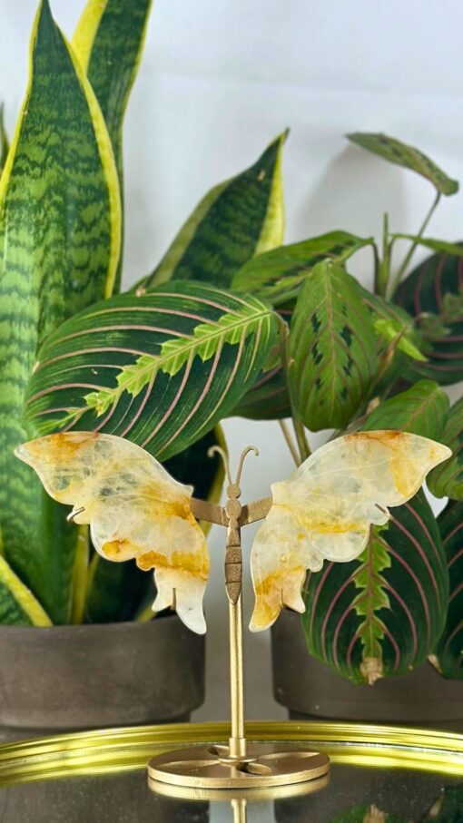 Mariposas Cuarzo Sanador Dorado 2