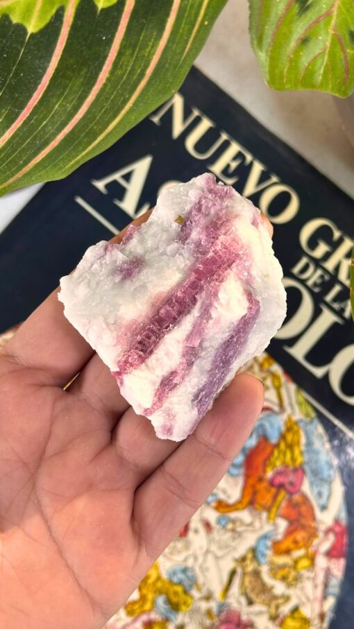 Masivo de Turmalina Rosa 2