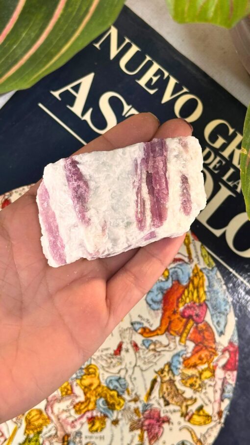 Masivo de Turmalina Rosa 6