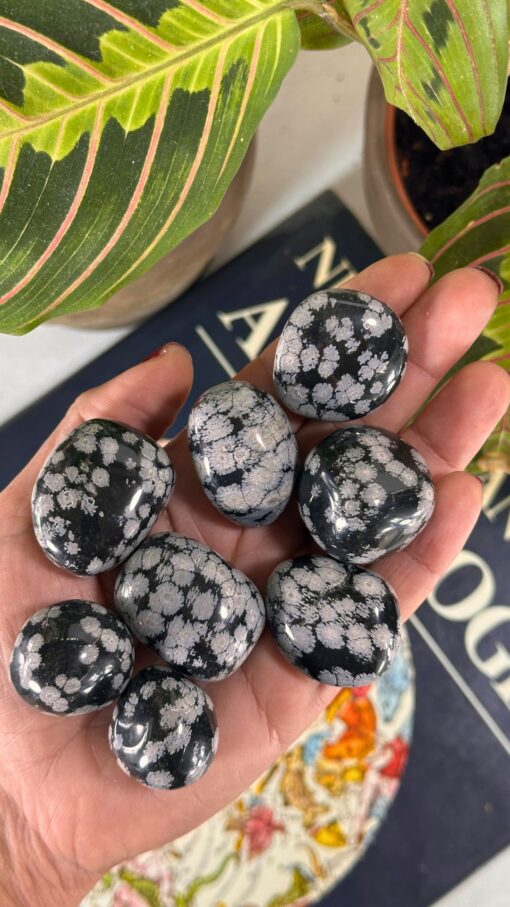 Rodado Obsidiana Nevada 1