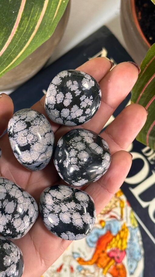 Rodado Obsidiana Nevada 2