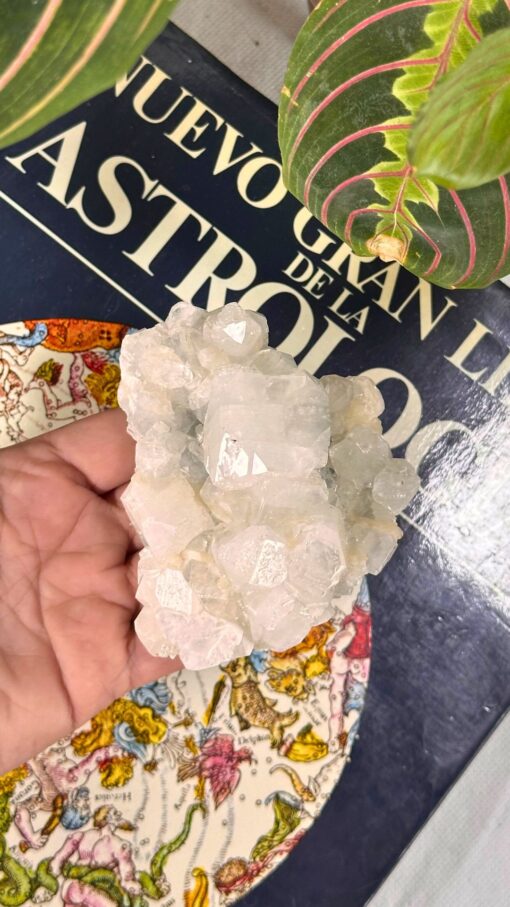 Drusa Apofilita Transparente con Estilbita 2