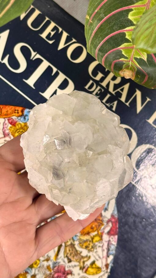 Drusa de Apofilita con Estilbita Rosa 1