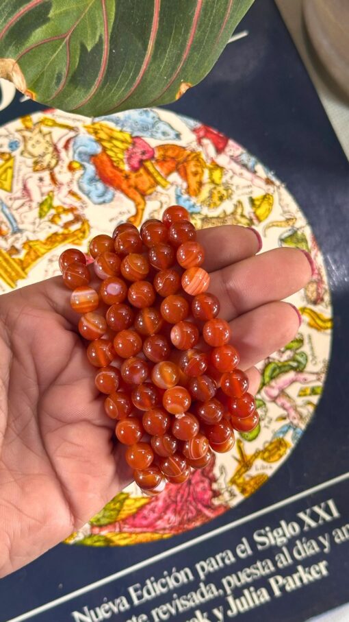 Pulsera Cornalina 2